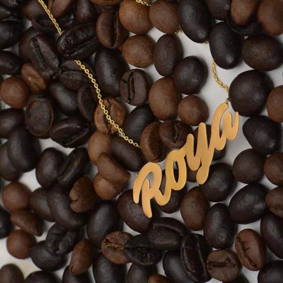 گردنبند با پلاک طلا اسم رویا