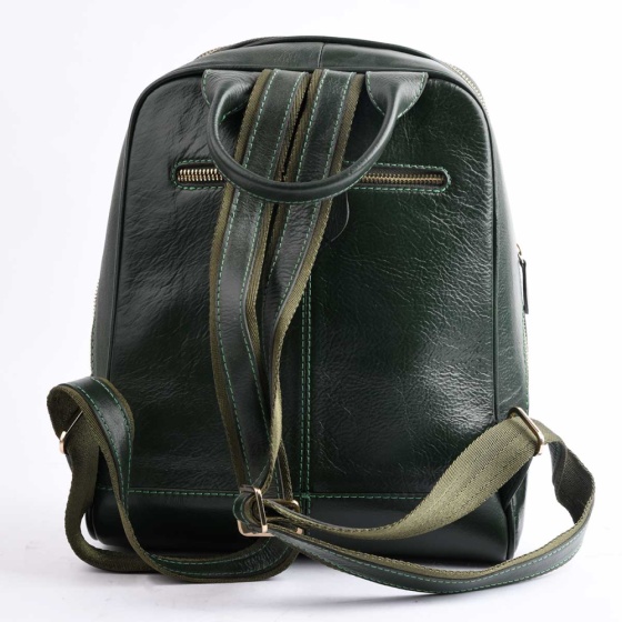 کوله پشتی طرح داریا چرم ساده سبز B3/C3