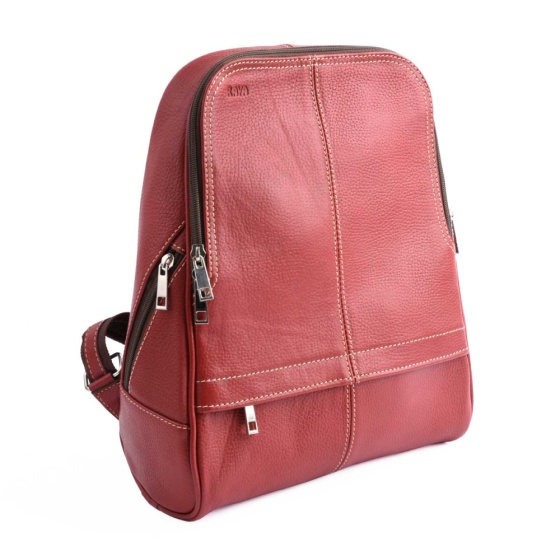 کوله پشتی طرح داریا چرم فلوتر قرمز E5